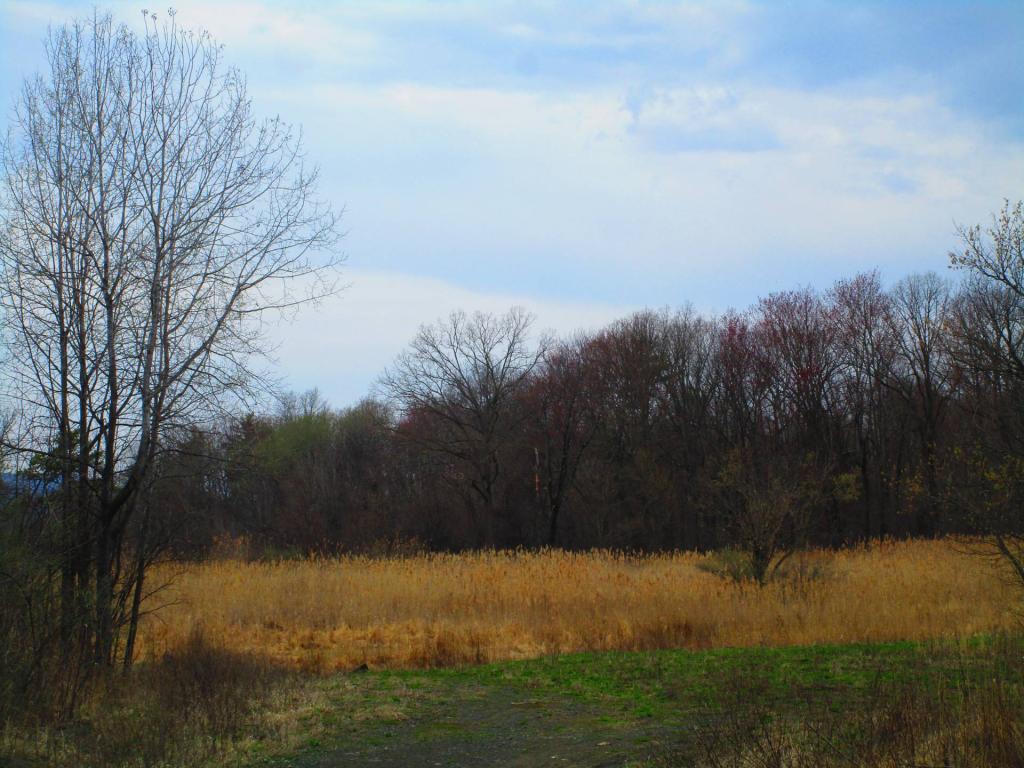 Photo: Open Area Photo: Open Area
