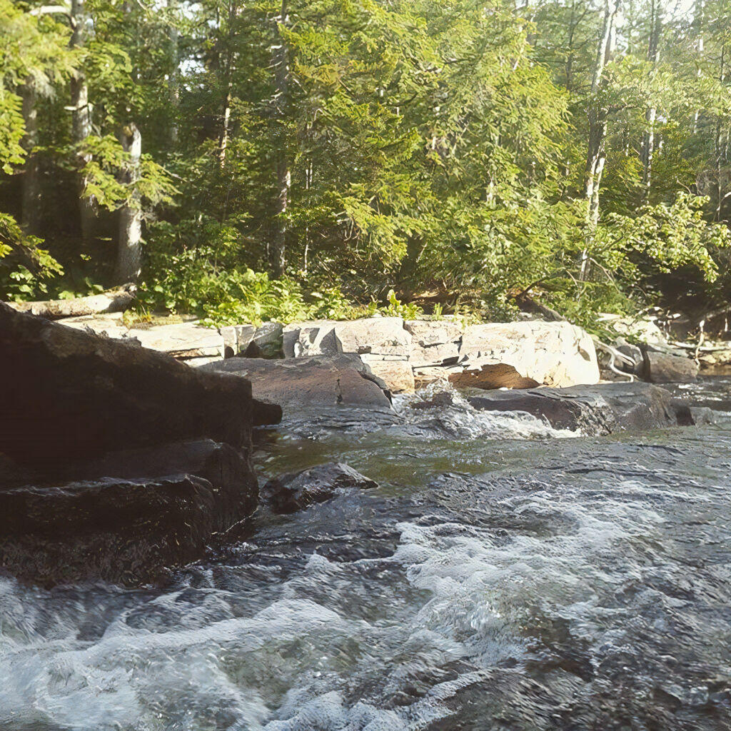 Photo: Looking downstream