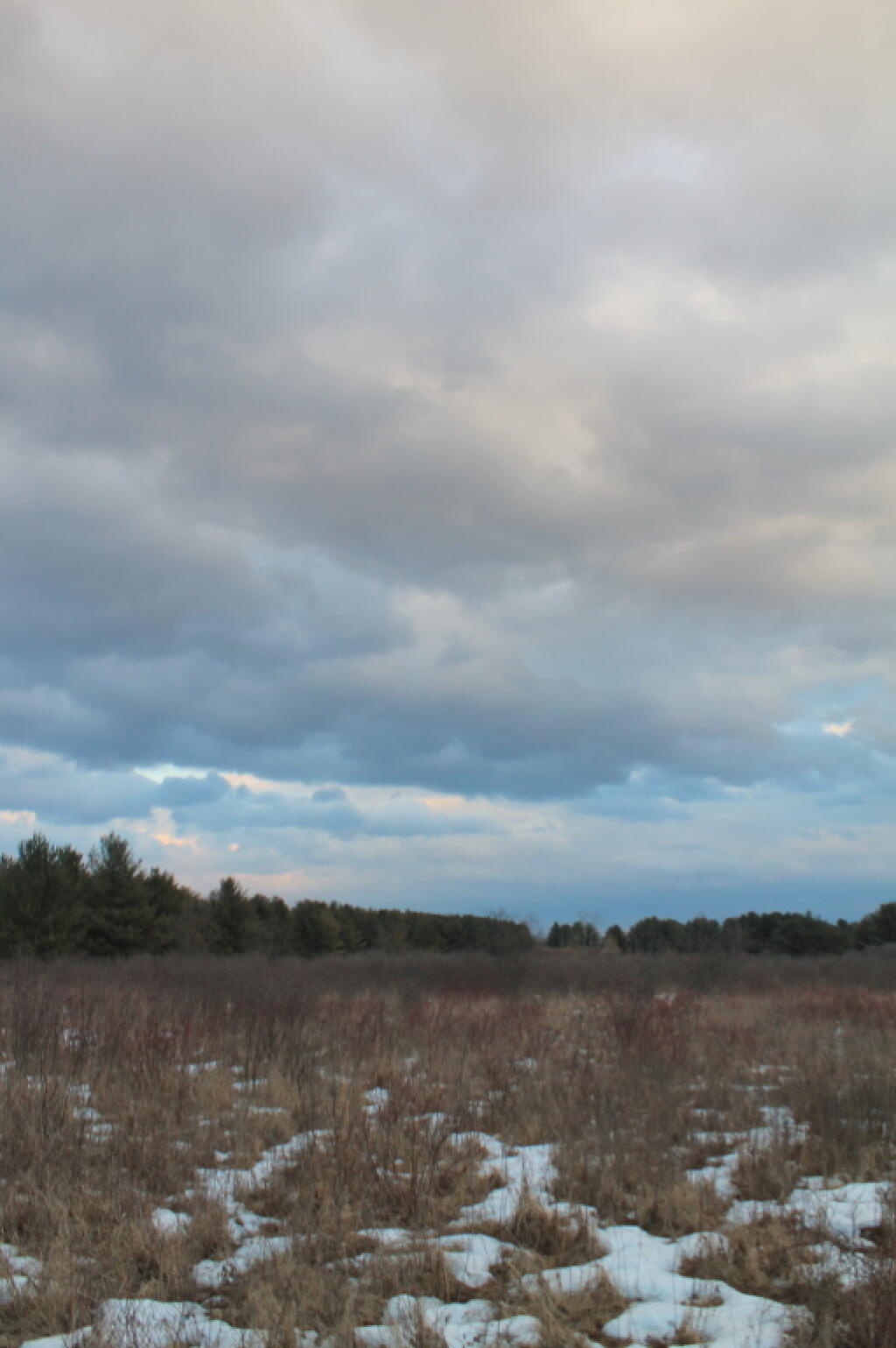 Photo: Across the Field