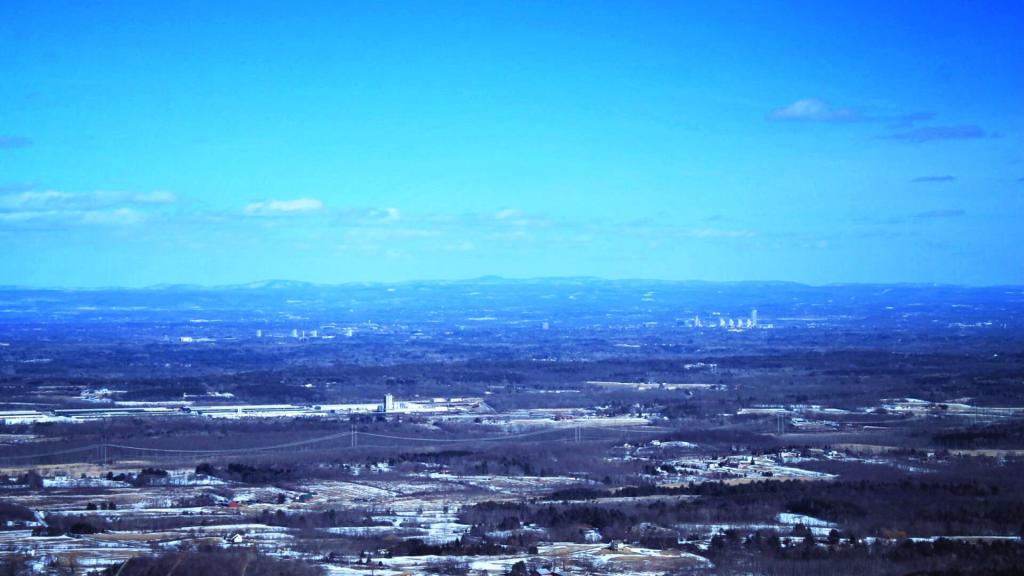 Photo: Albany