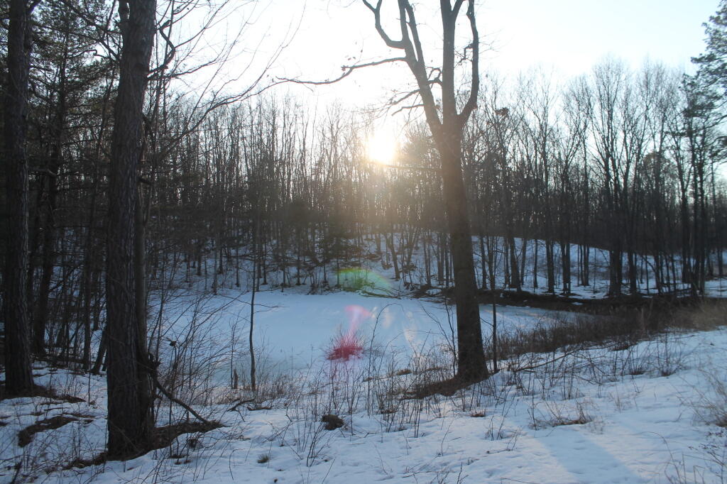 Photo: Sunset Over the Pond