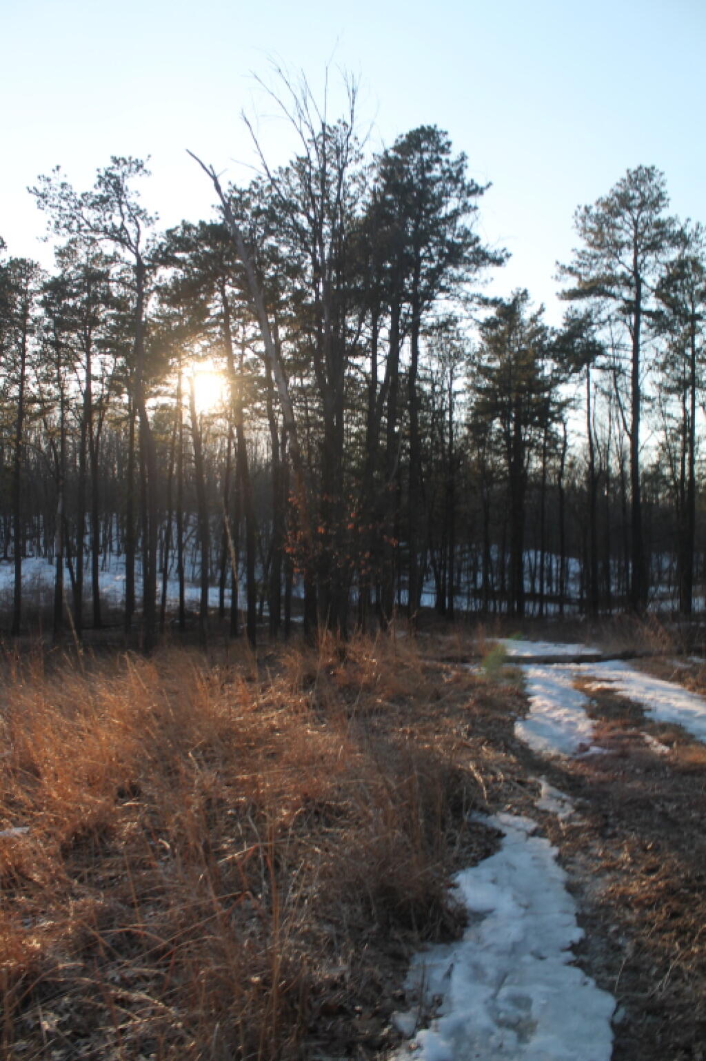 Photo: Sunset View Photo: Sunset View