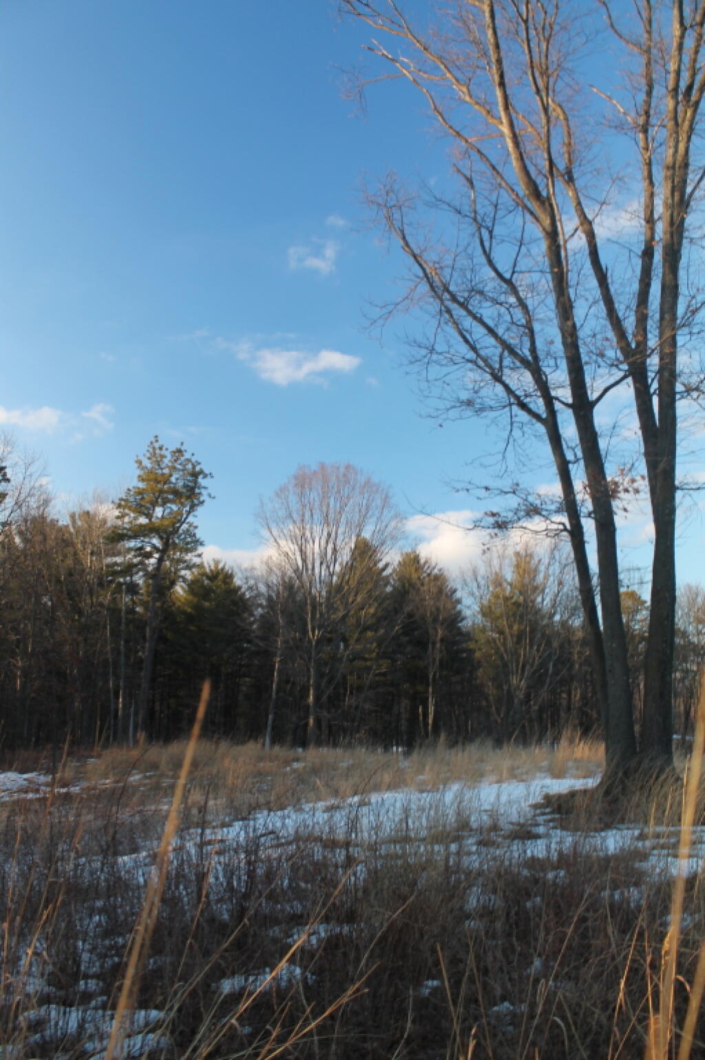 Photo: Some Snow Left Photo: Some Snow Left