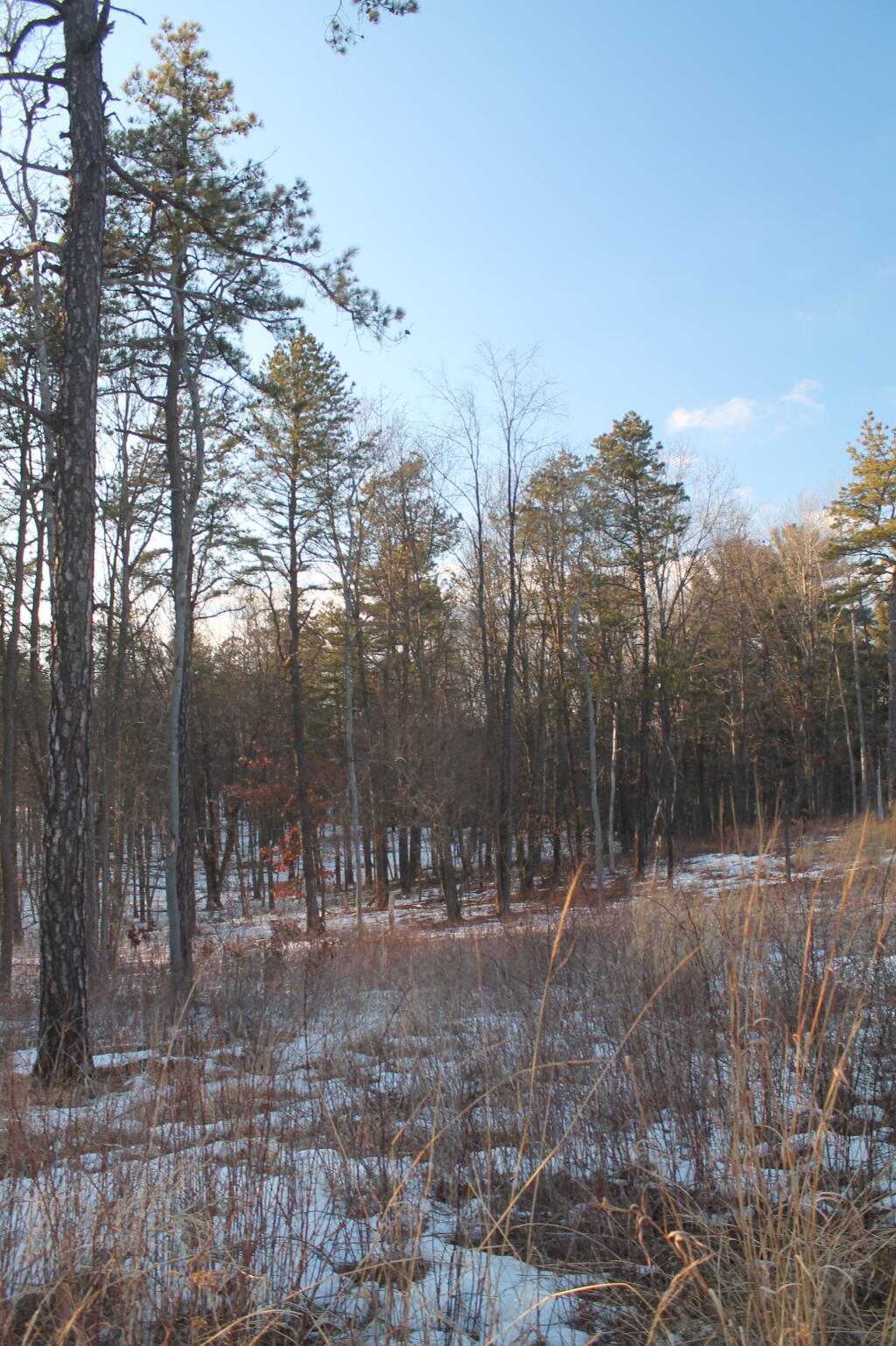Photo: Open Area