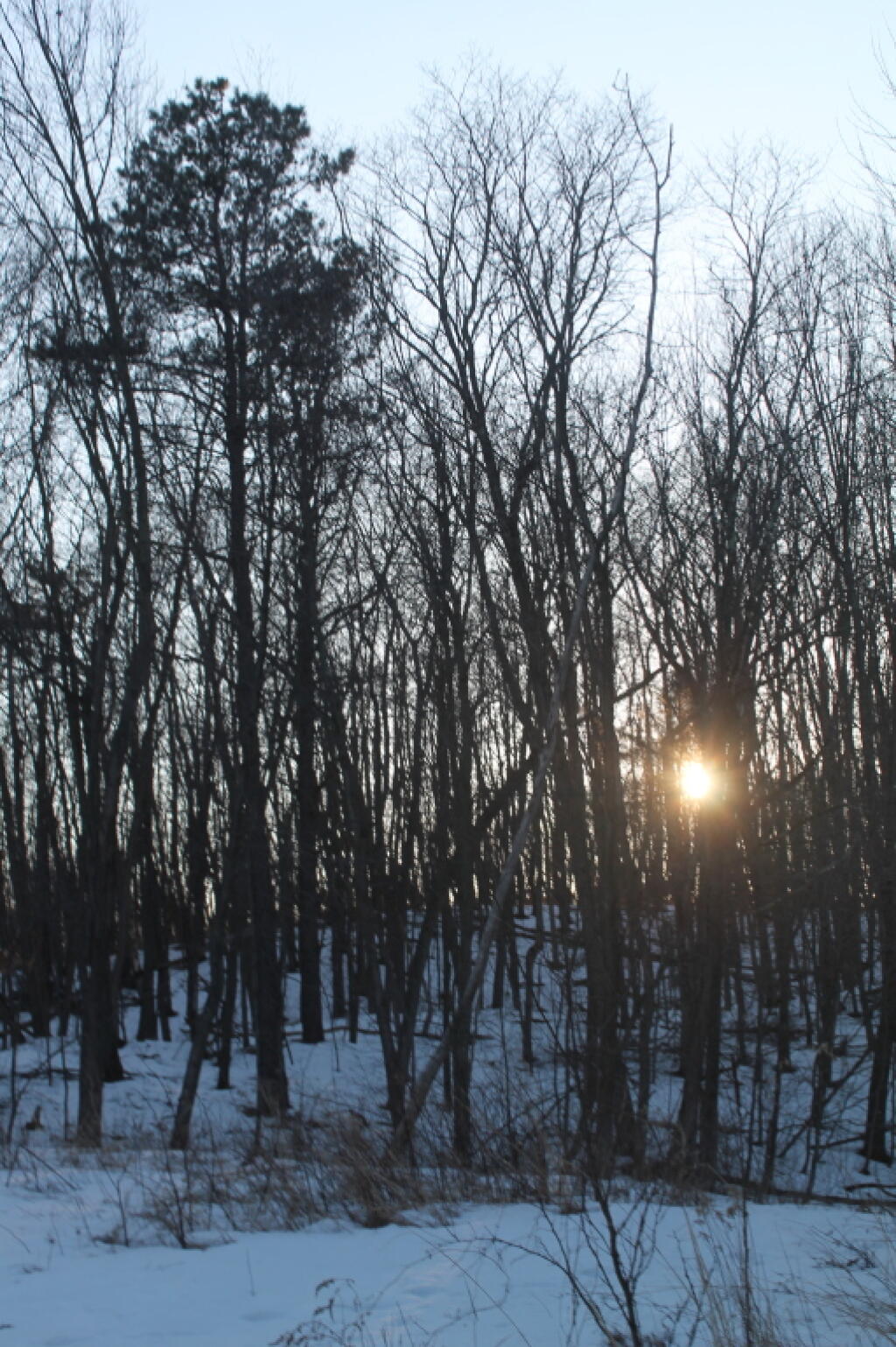 Photo: Setting Sun Over a Drumlin