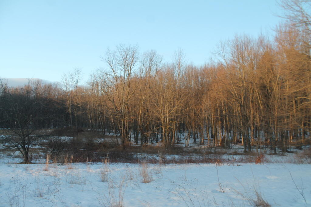 Photo: Last Light