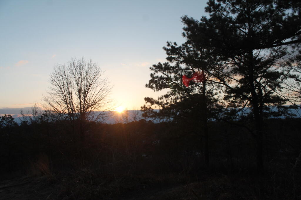 Photo: From Blueberry Hill Photo: From Blueberry Hill