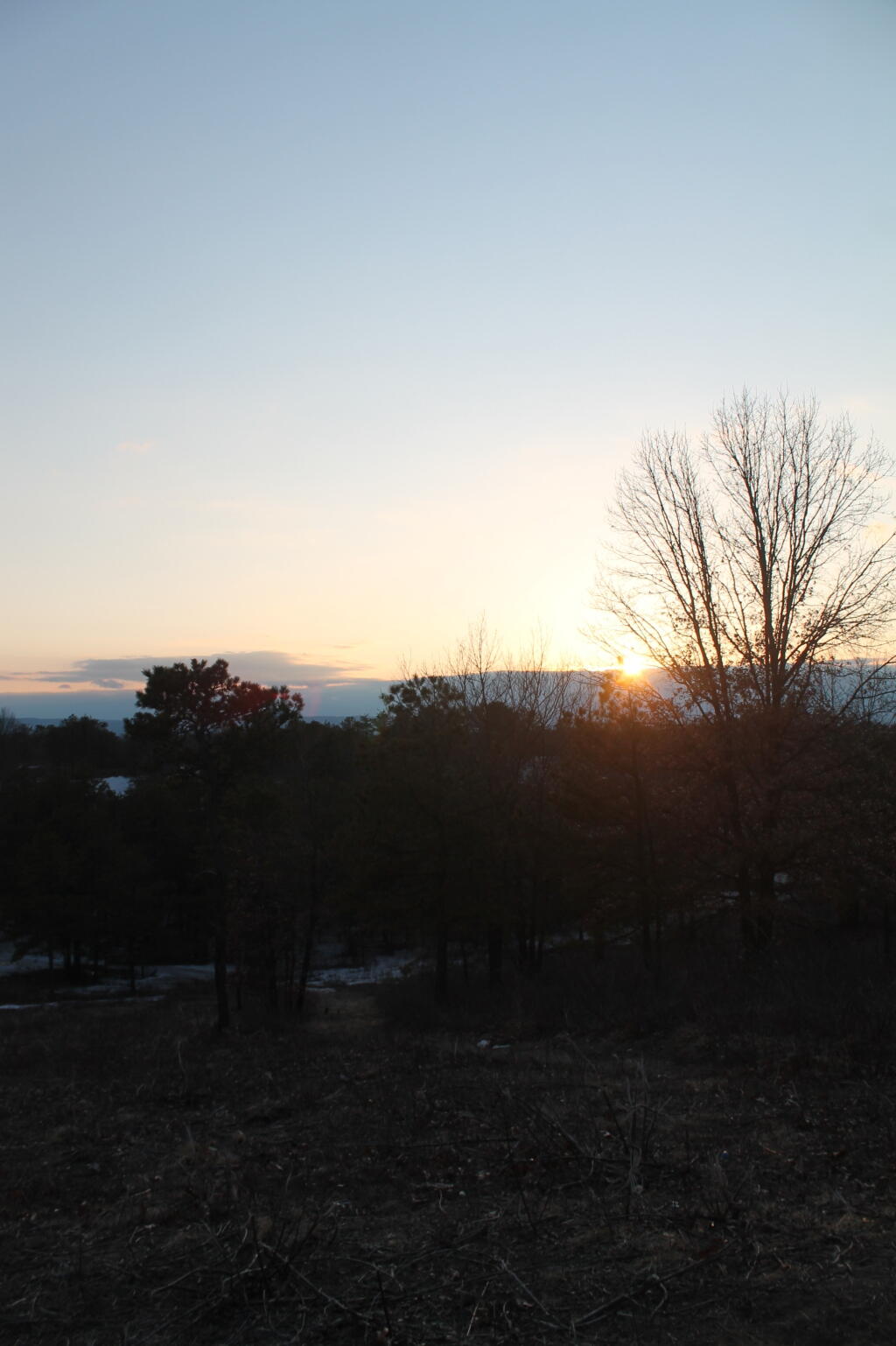 Photo: Blueberry Hill 2
