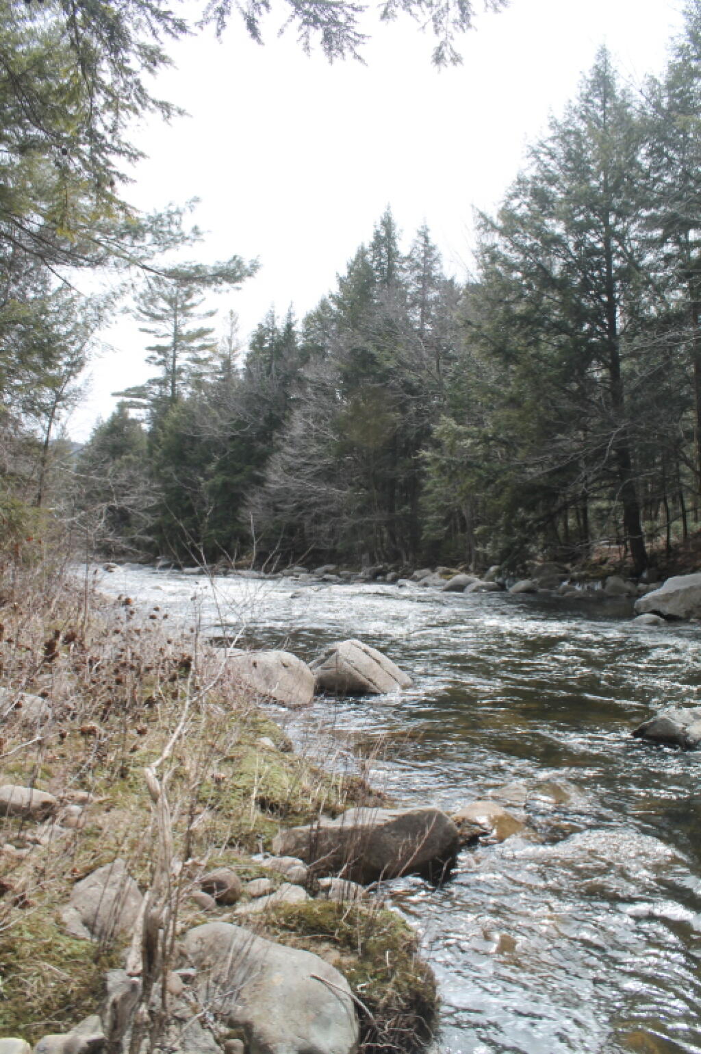 Photo: East Branch in the Clove Photo: East Branch in the Clove