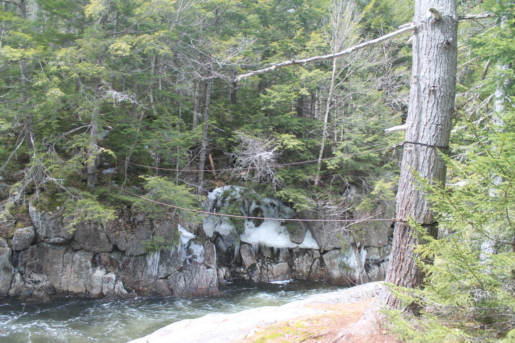 Photo: Cable Crossing Over the East Branch Photo: Cable Crossing Over the East Branch
