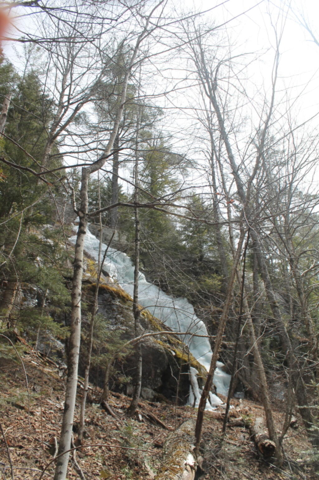Photo: Frozen Waterfall