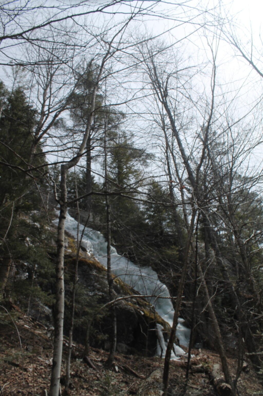 Photo: Another View of Waterfall Photo: Another View of Waterfall