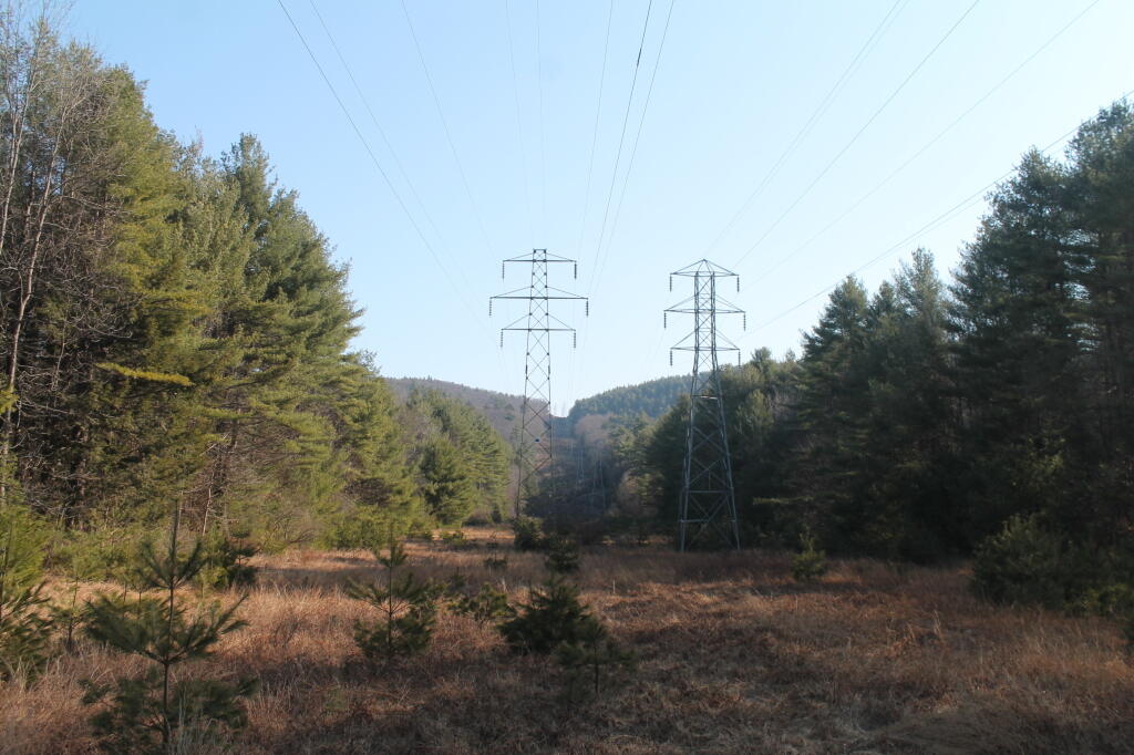 Photo: Powerlines Cut Through Moreau Lake State Park