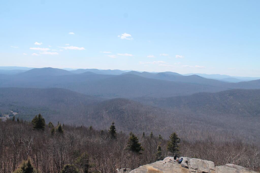 Photo: West from Firetower