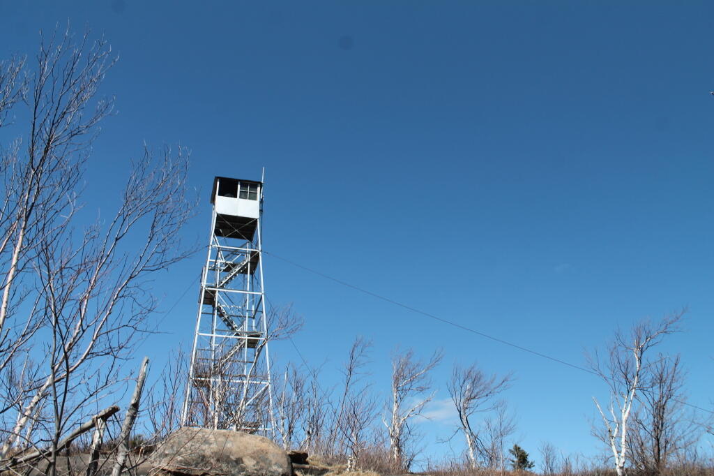Photo: Descending from Firetower