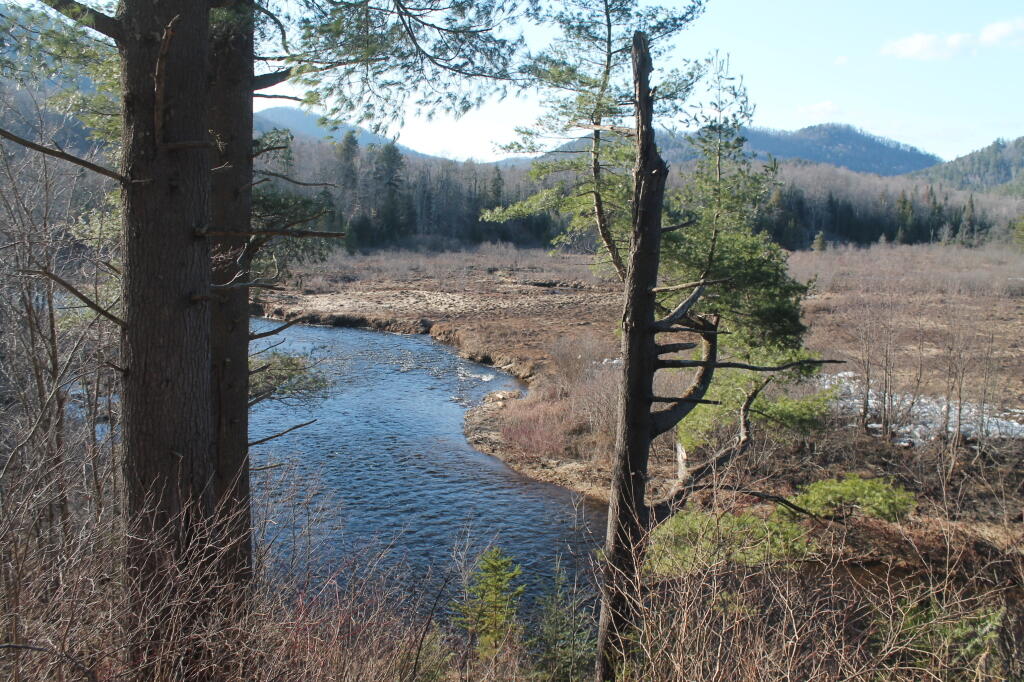 Photo: Million Dollar View into Simease Pond Wilderness Photo: Million Dollar View into Simease Pond Wilderness