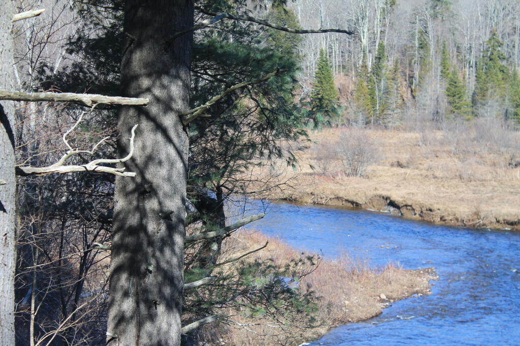 Photo: East Branch of Sacandaga River