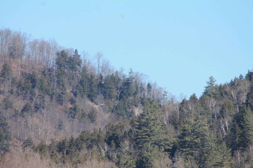 Photo: Looking INto the Gorge