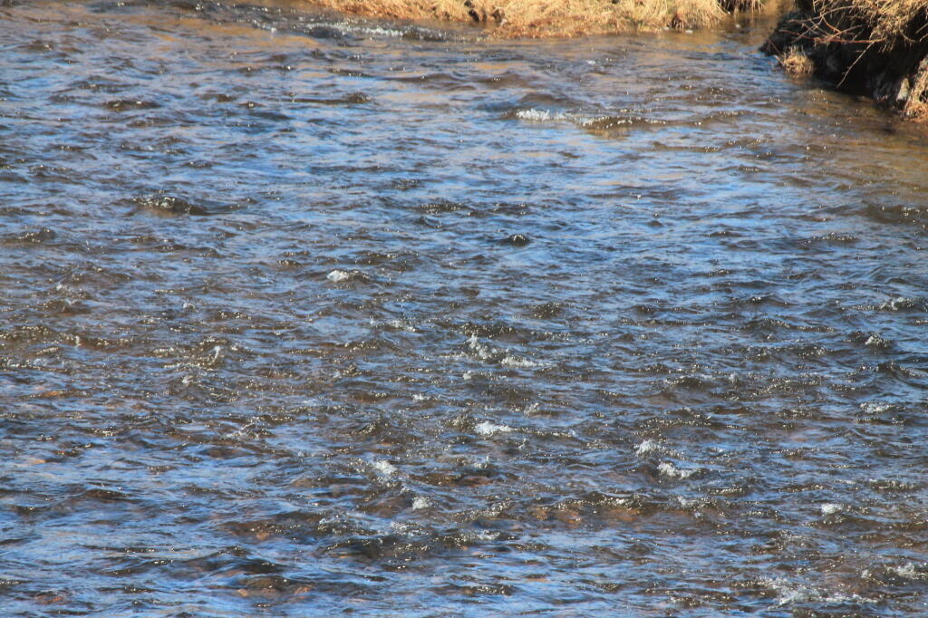 Photo: Looks Like Good Fishing Photo: Looks Like Good Fishing