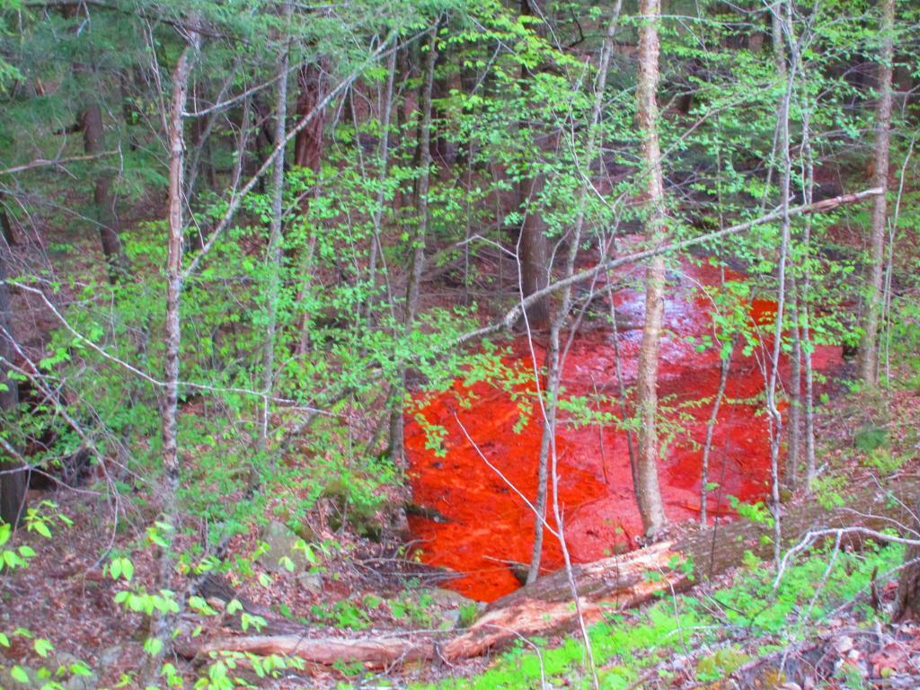 Photo: Below NY 8 Bleeds Photo: Below NY 8 Bleeds
