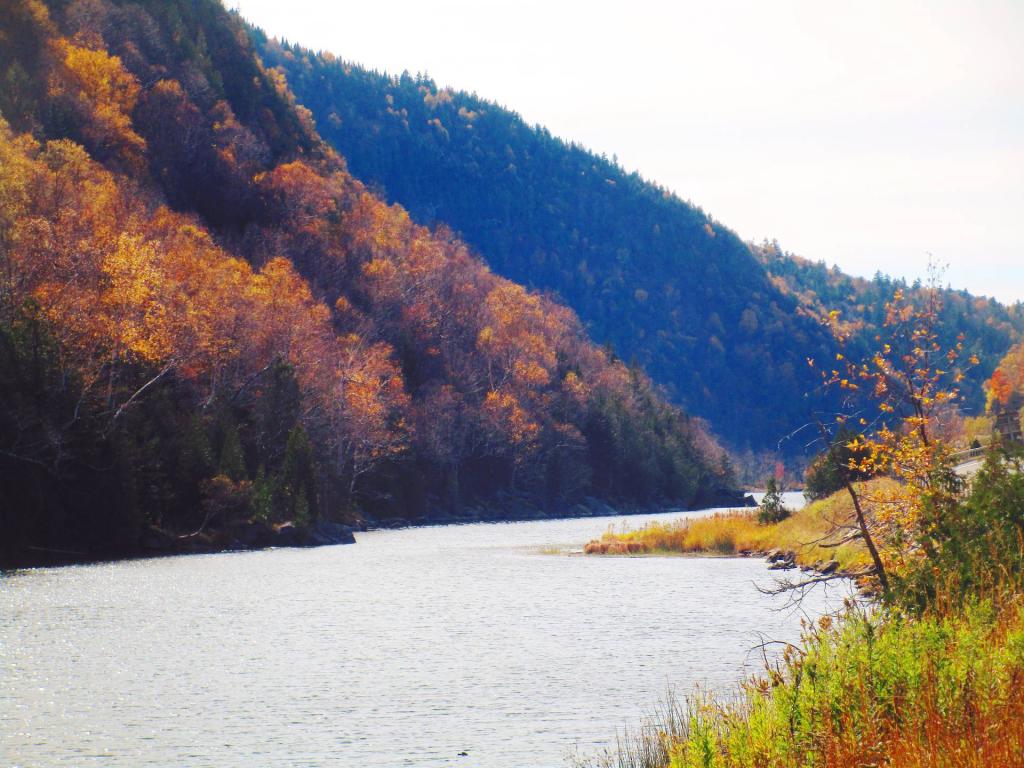 Photo: Chapel Pond