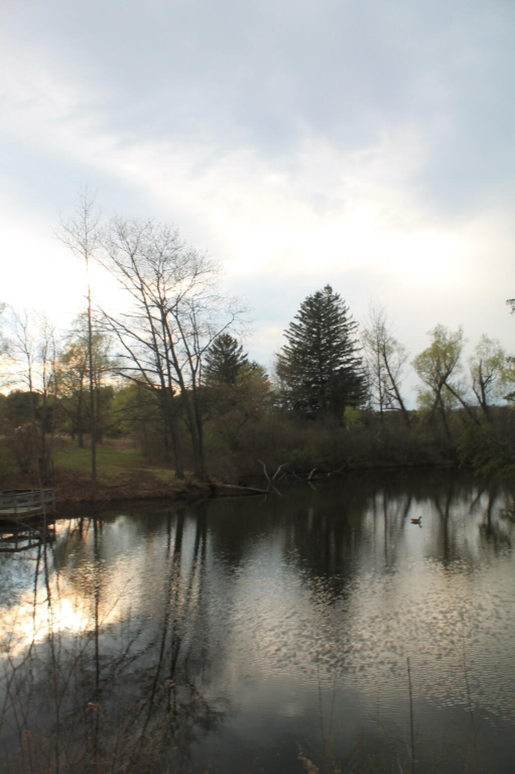 Photo: Pond in Early Springtime Photo: Pond in Early Springtime