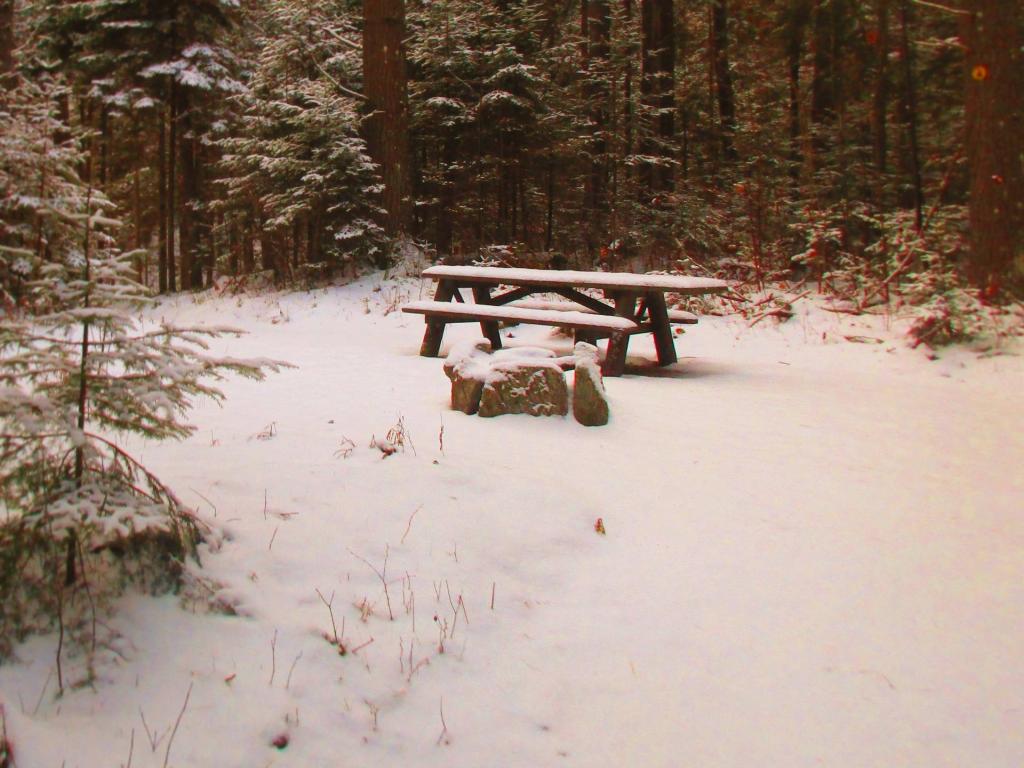 Photo: Roosevelt Truck Trail Campsite 1