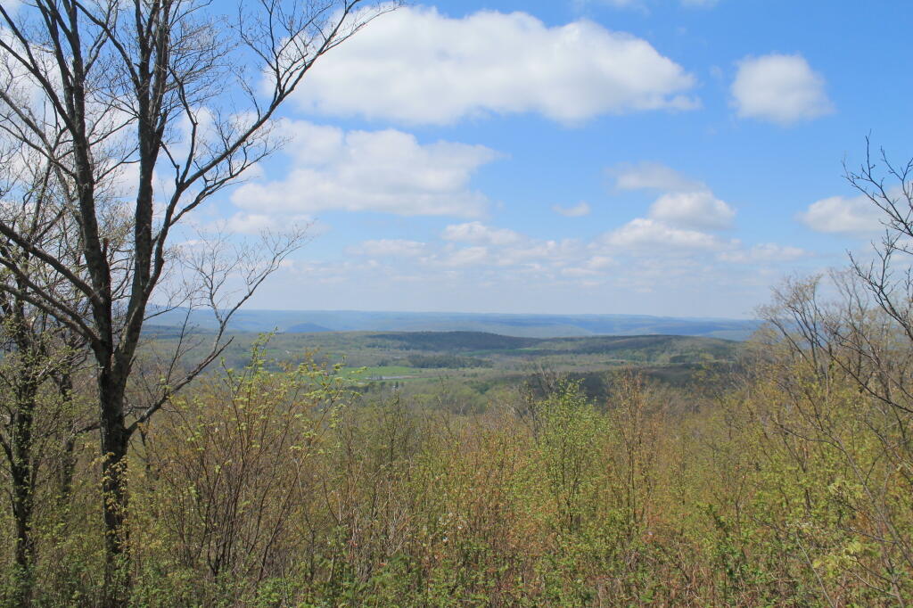 Photo: Springtime