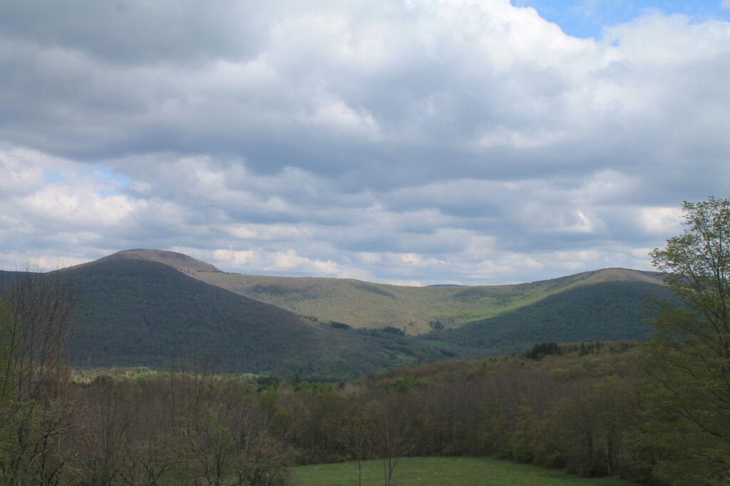 Photo: Whiteman Mountain and Cator Top