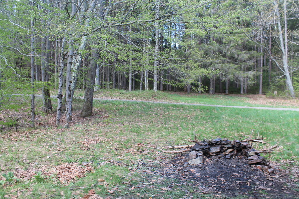 Photo: Duck Pond Campsite