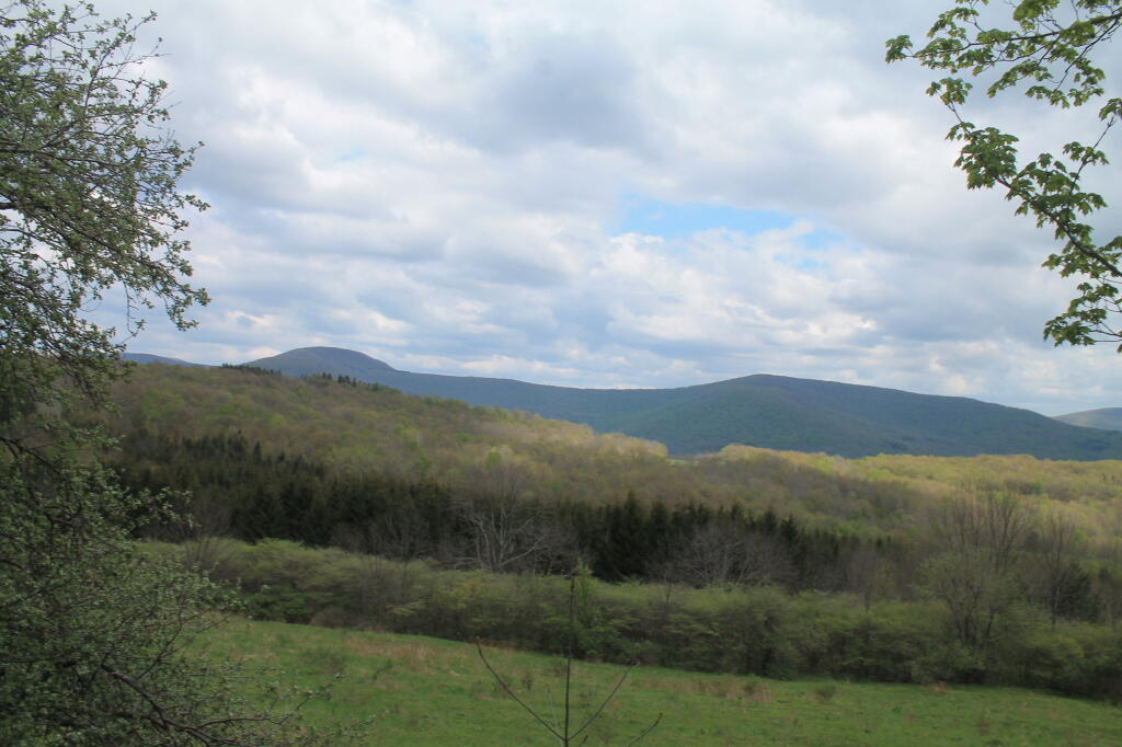 Photo: Along Burroughs Road