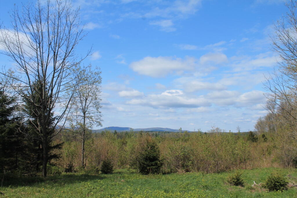 Photo: Spring Day on Burnt Hill Photo: Spring Day on Burnt Hill