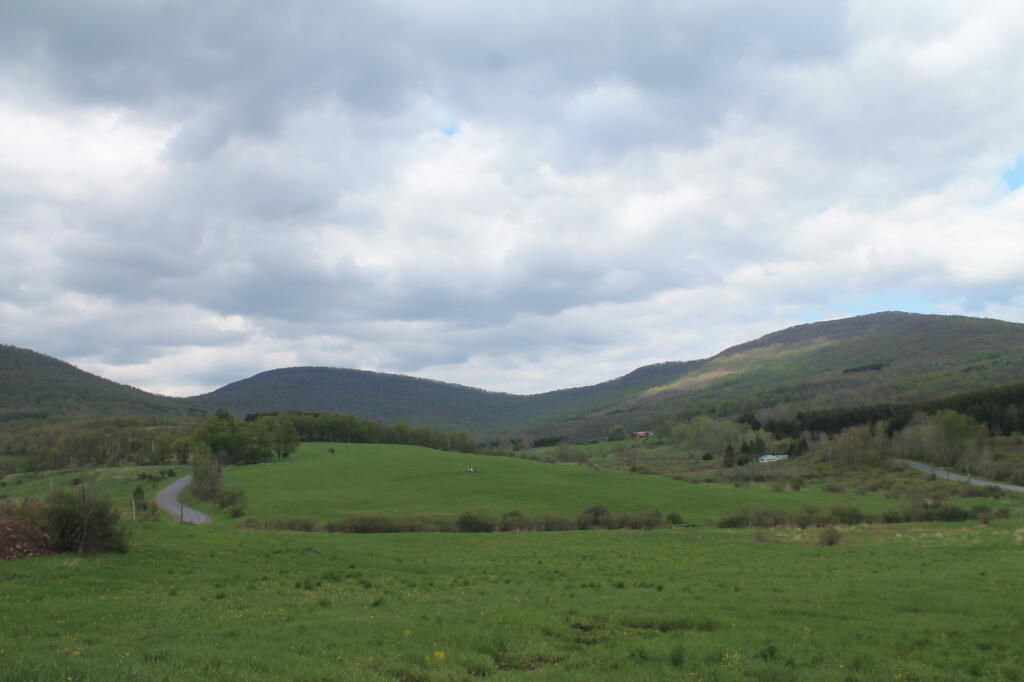 Photo: View Along Burroughs Memorial Road