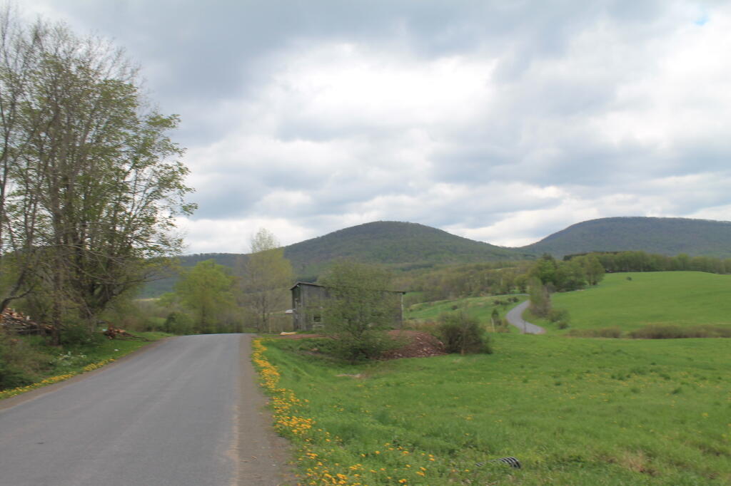 Photo: Further Down Burroughs Memorial Road