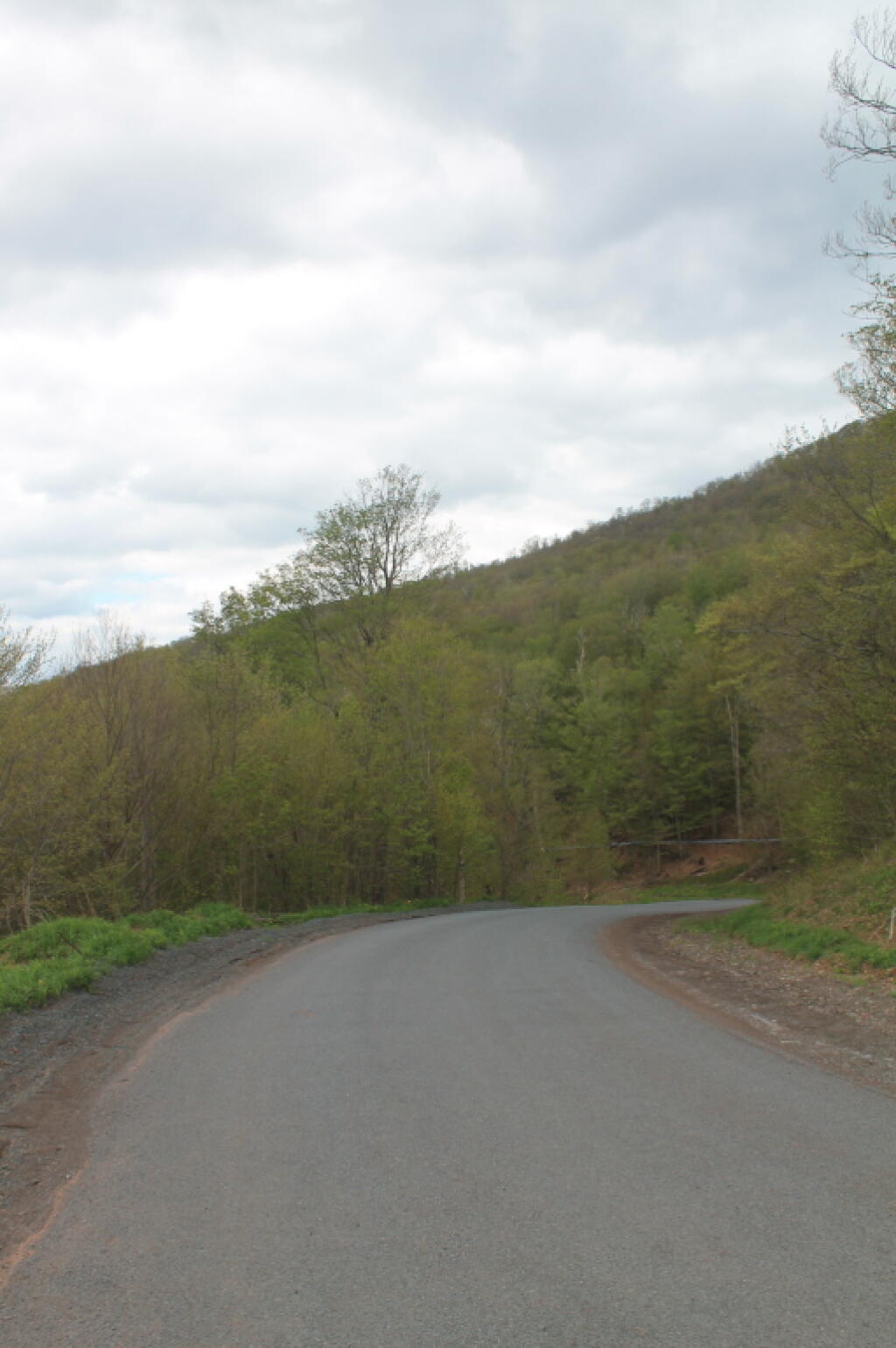 Photo: Roxbury Mountain Road