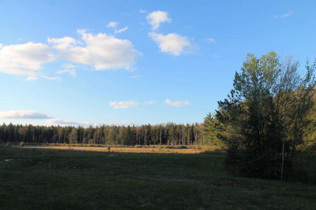 Photo: Duck Pond Photo: Duck Pond