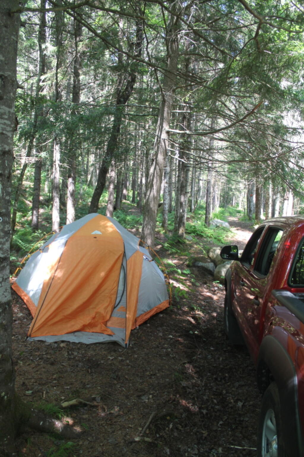 Photo: Tent Camping Along the East Branch Photo: Tent Camping Along the East Branch