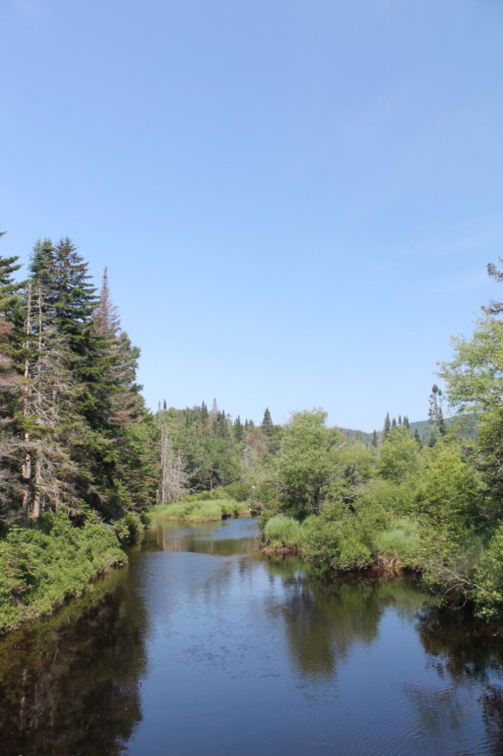 Photo: West Branch of the East Canada Creek
