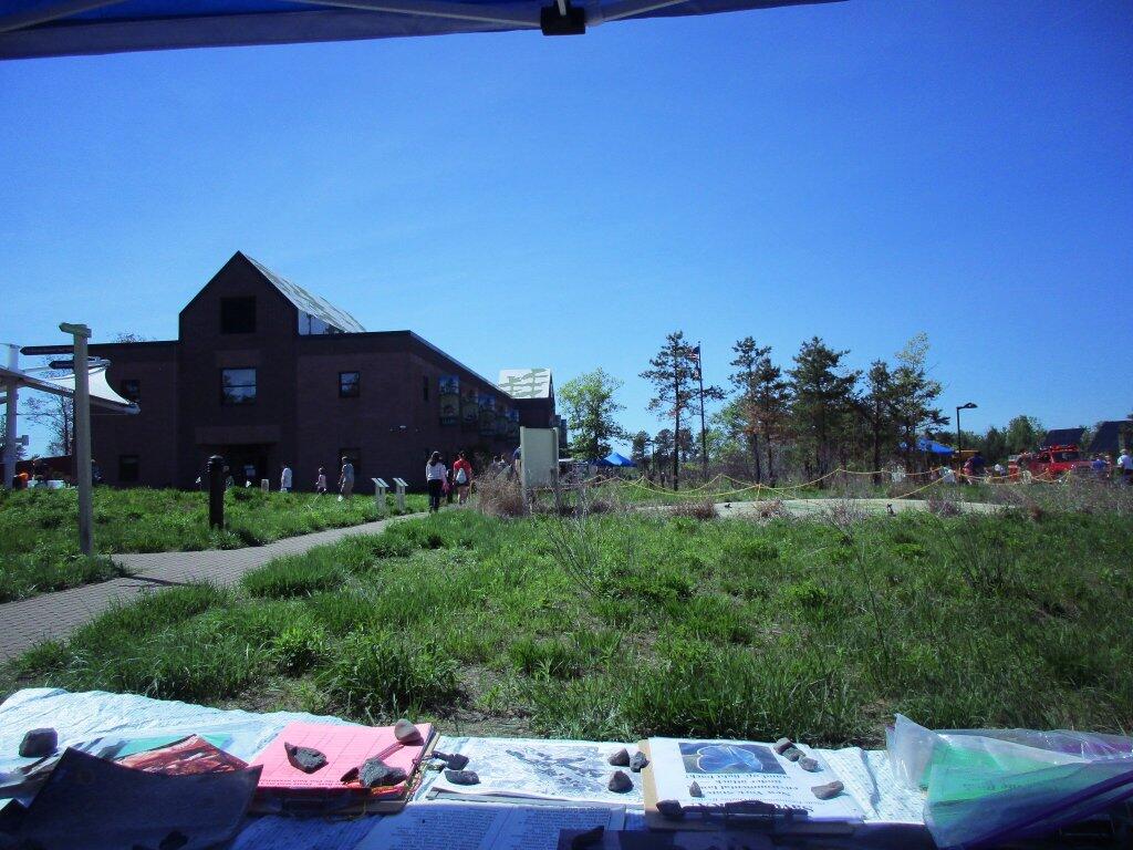 Photo: Save The Pine Bush Table At The Lupine Fest