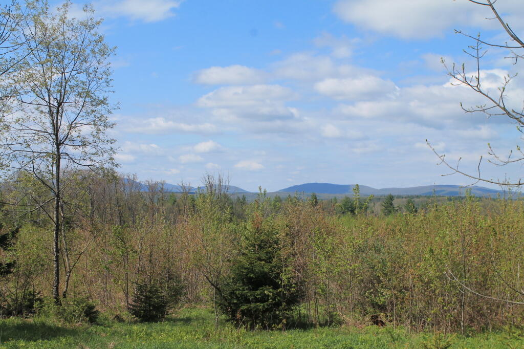 Photo: Another View from the Clear Cut Photo: Another View from the Clear Cut