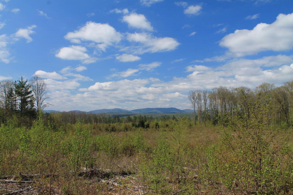 Photo: The Look of Spring