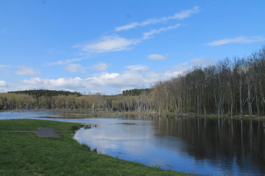 Photo: Looking Glass Pond Is Full Again Photo: Looking Glass Pond Is Full Again