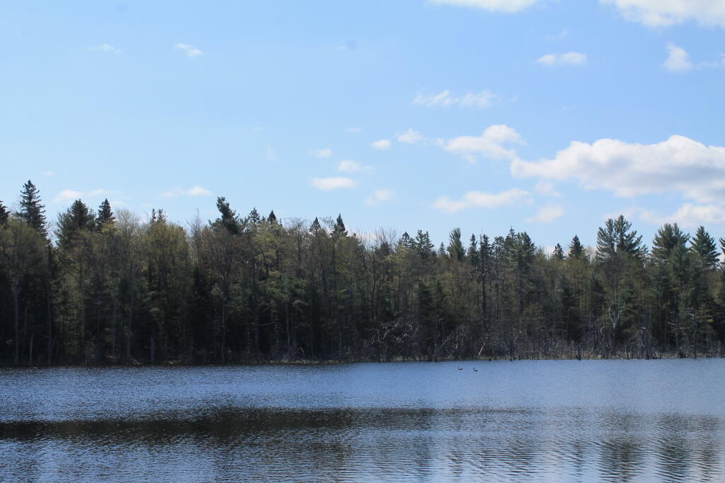 Photo: Time to Toss A Line In Photo: Time to Toss A Line In