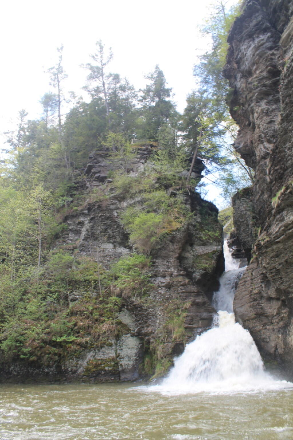 Photo: Looking Up Towards the Many Falls Photo: Looking Up Towards the Many Falls