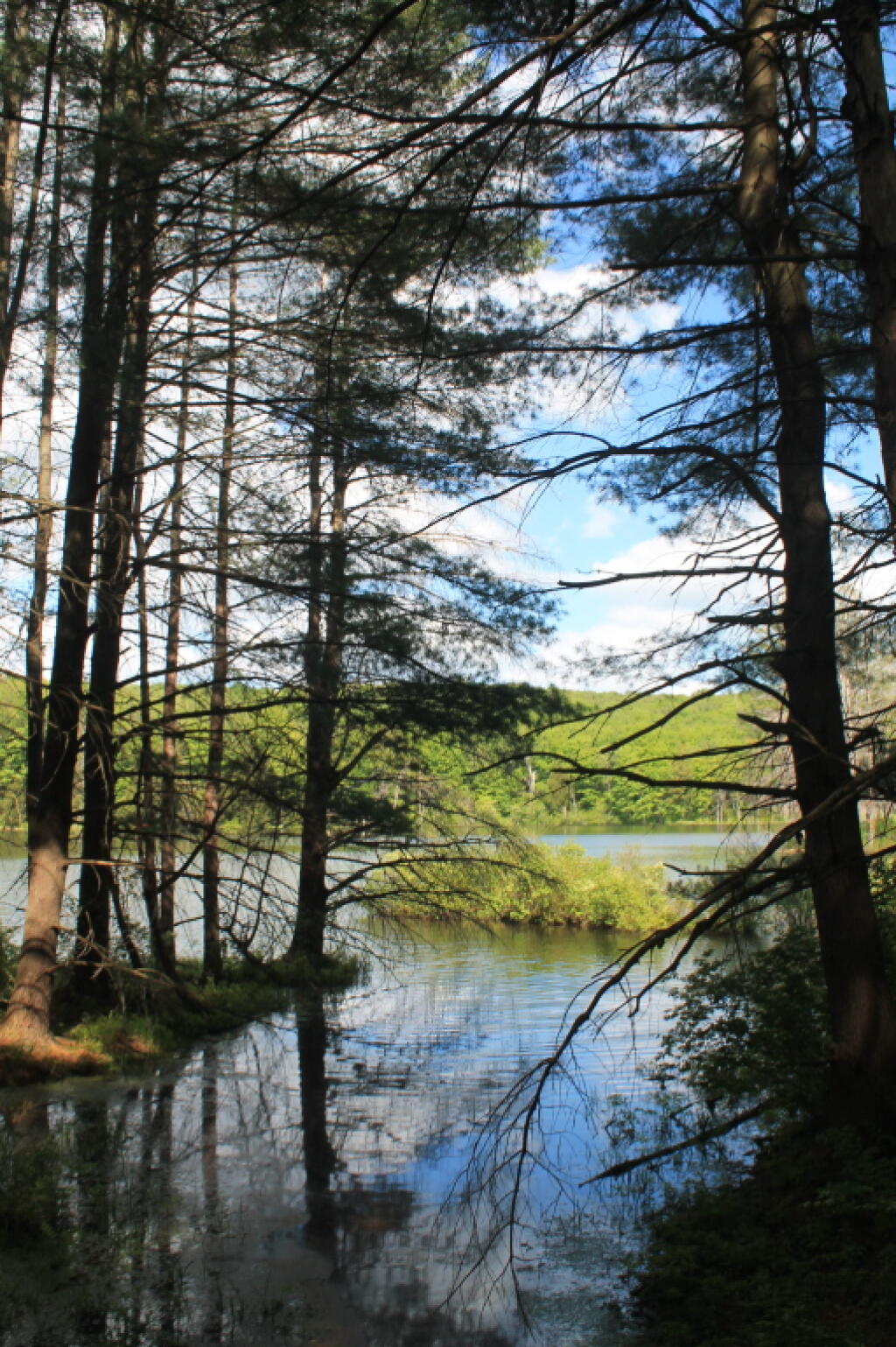 Photo: Stoney Pond from Edge Trail Photo: Stoney Pond from Edge Trail