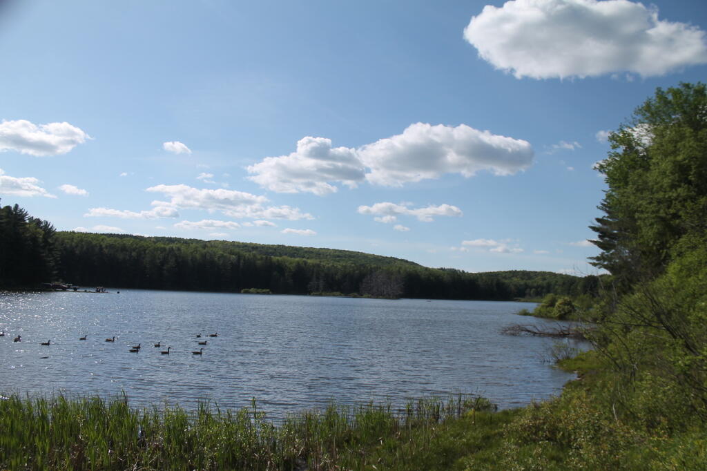 Photo: Stoney Pond from the Dam Photo: Stoney Pond from the Dam