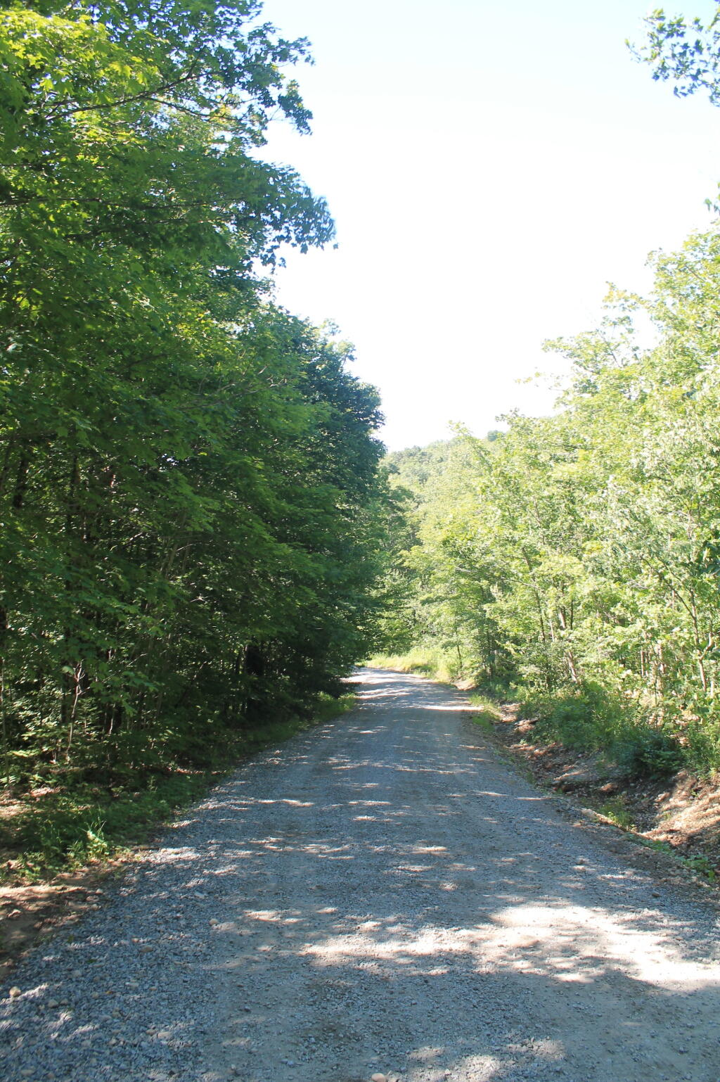 Photo: Cedar River Limekiln Lake Road