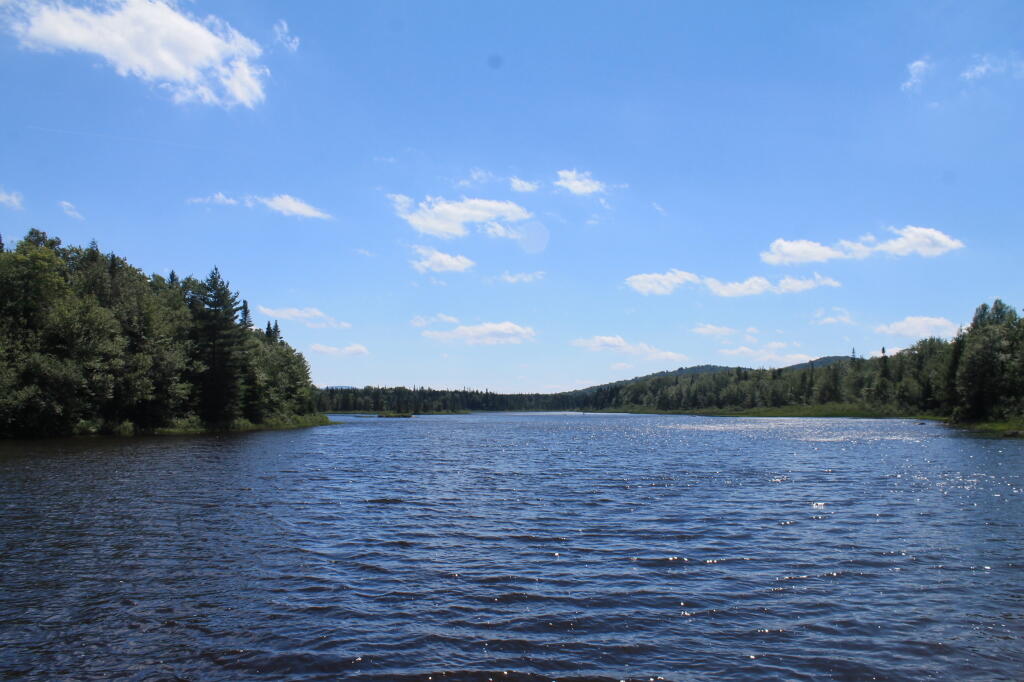 Photo: Cedar River Flow Photo: Cedar River Flow