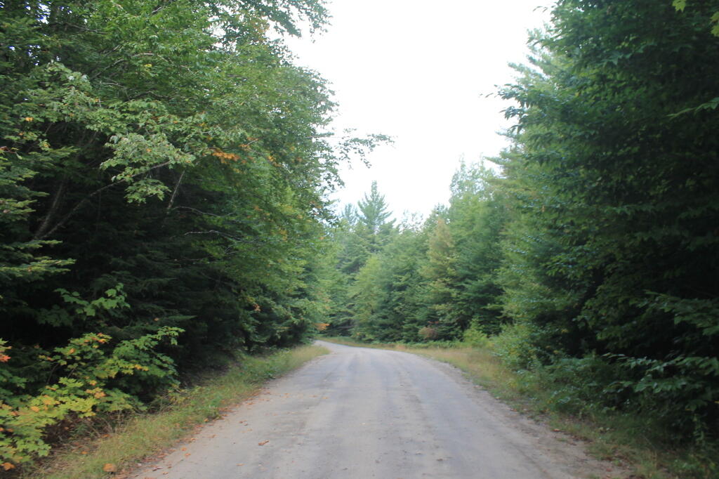 Photo: Moose River Road