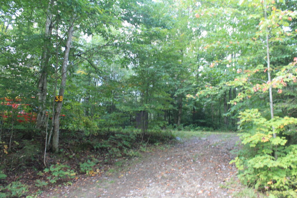 Photo: Campsite 38